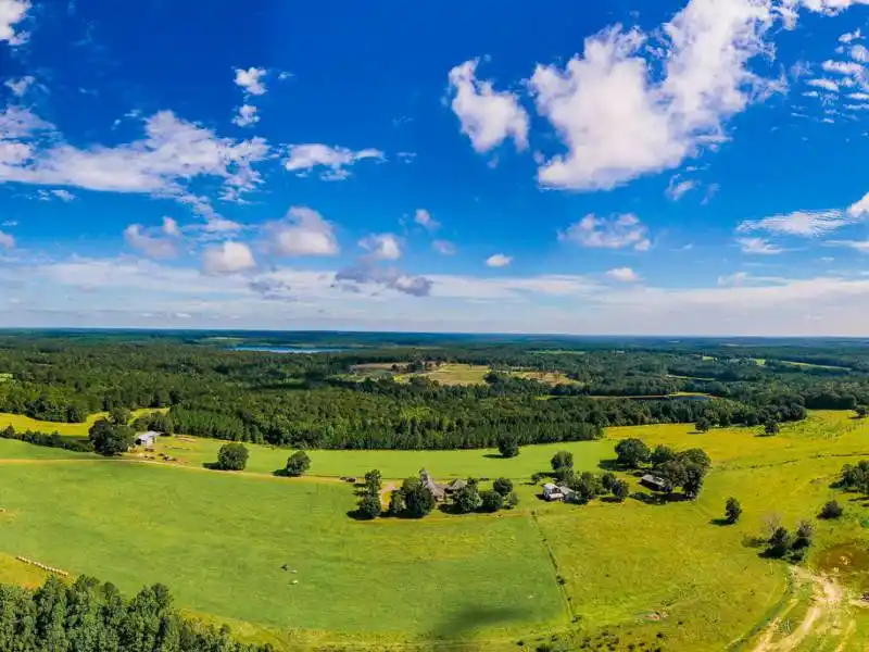 Sold via Target Auction Co! Florida Home on 153± Acres - 40 Miles to – image 17