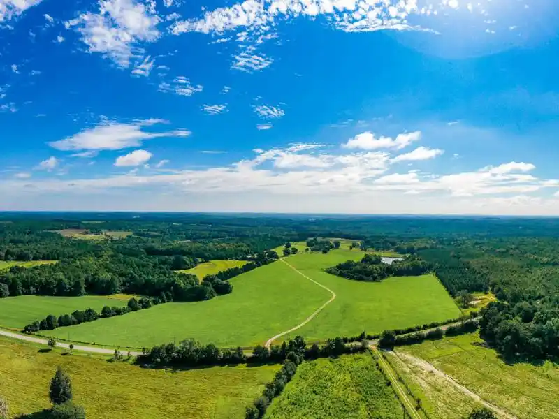 Sold via Target Auction Co! Florida Home on 153± Acres - 40 Miles to – image 1