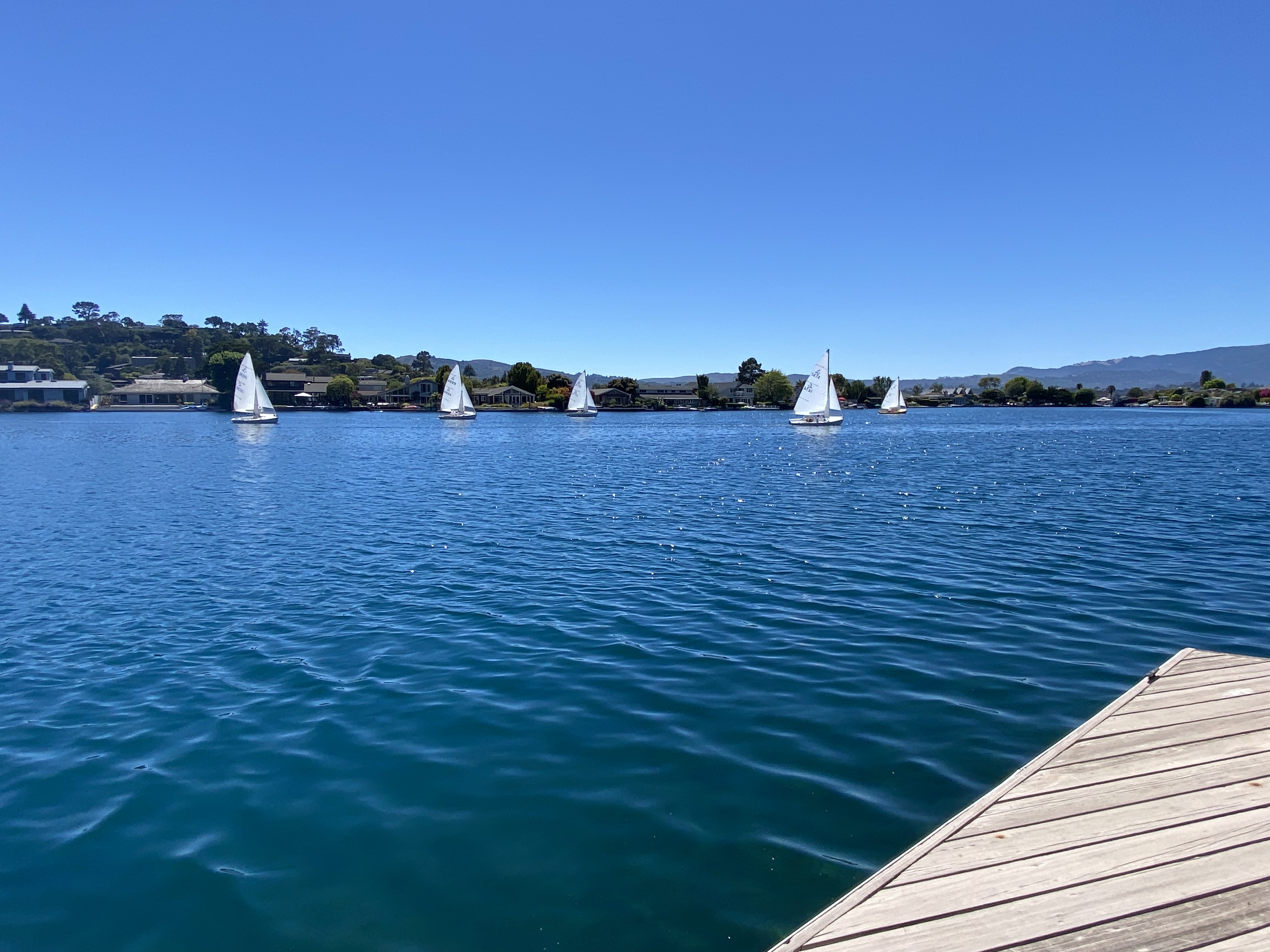 BEAUTIFUL BELVEDERE LAGOON – image 73