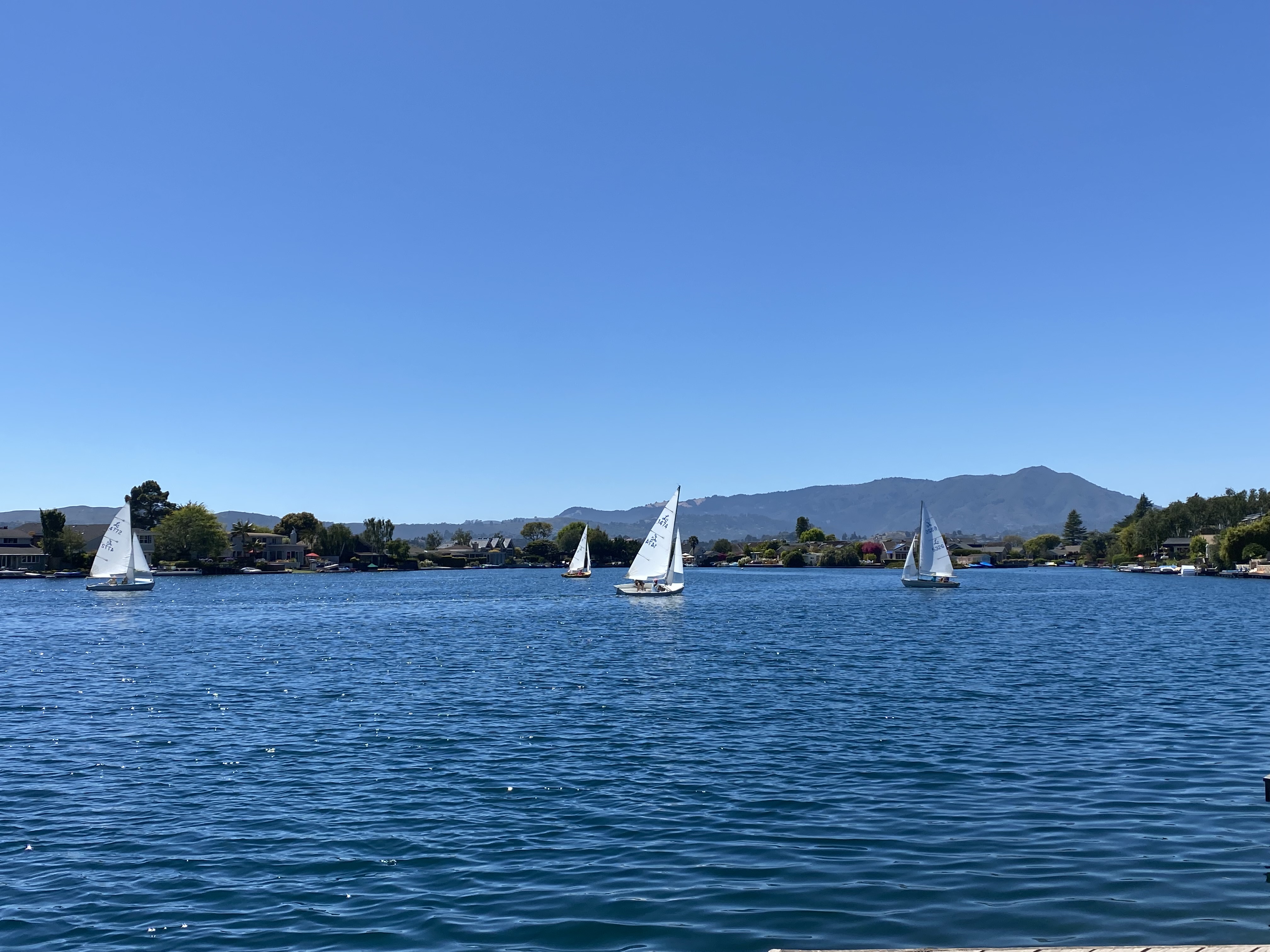 BEAUTIFUL BELVEDERE LAGOON – image 1