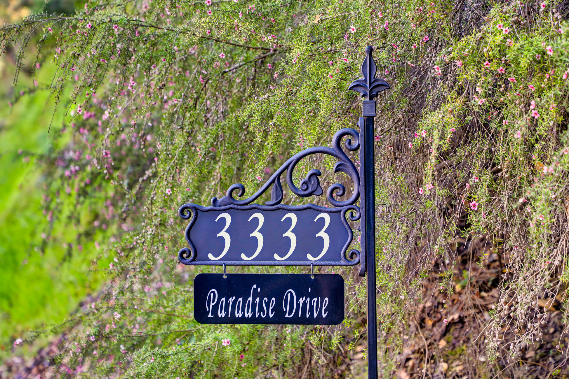 PARADISE RETREAT – image 90