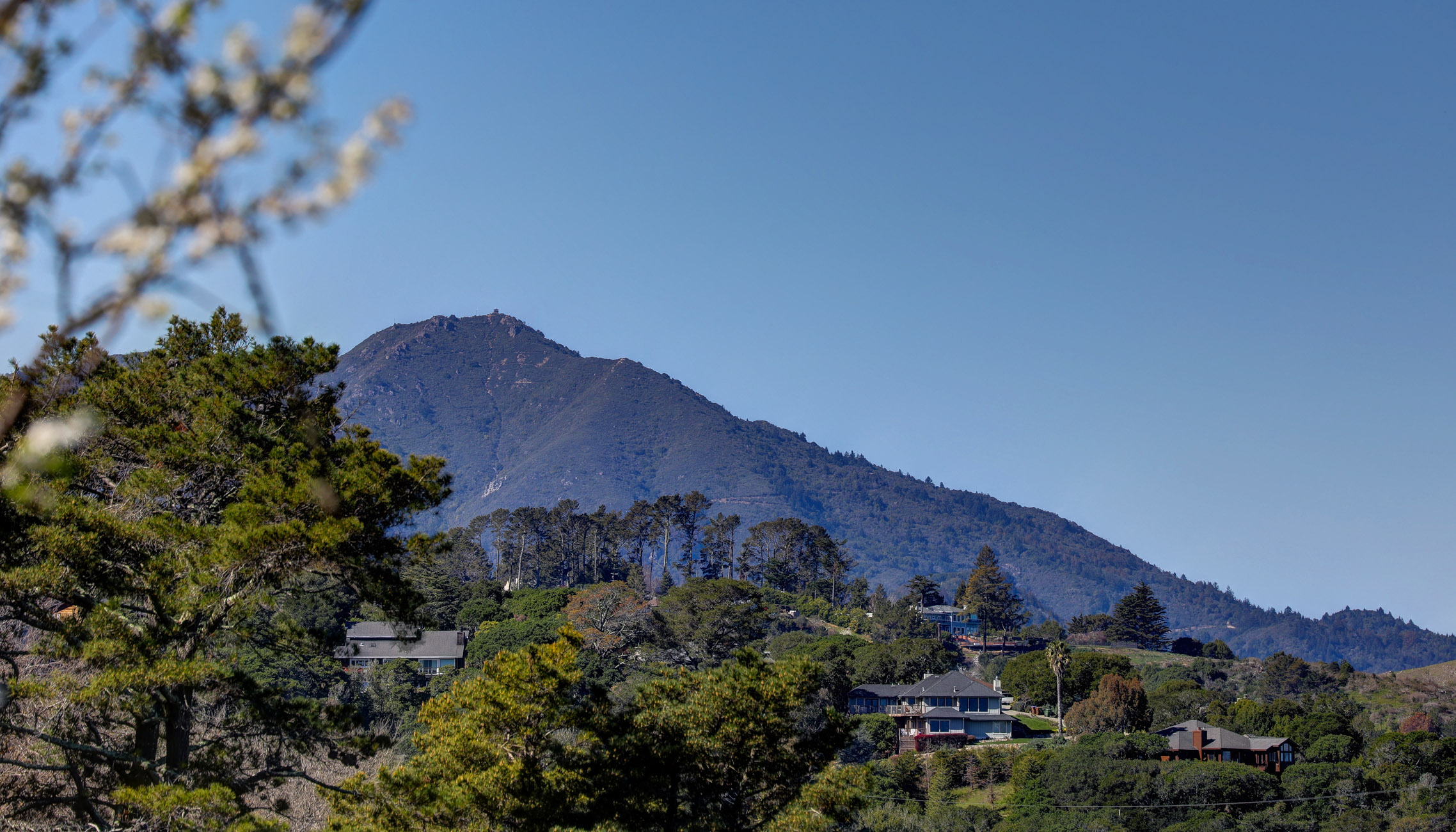 PARADISE RETREAT – image 84