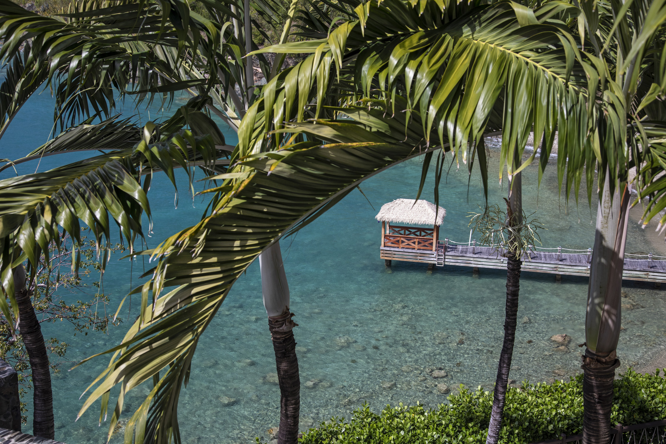 Waterfront Estate – image 6