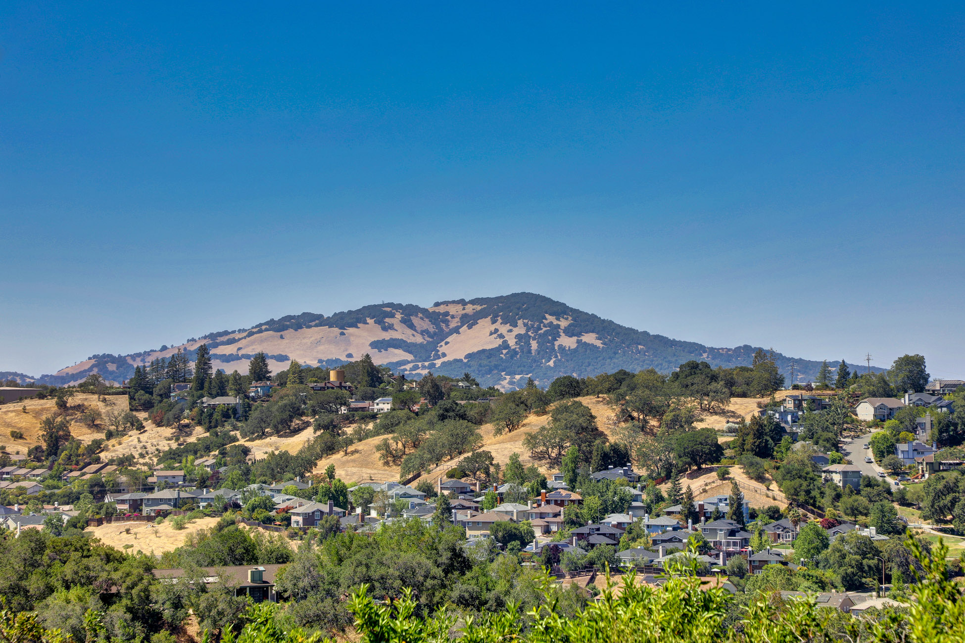 MARIN COUNTRY CLUB – image 24