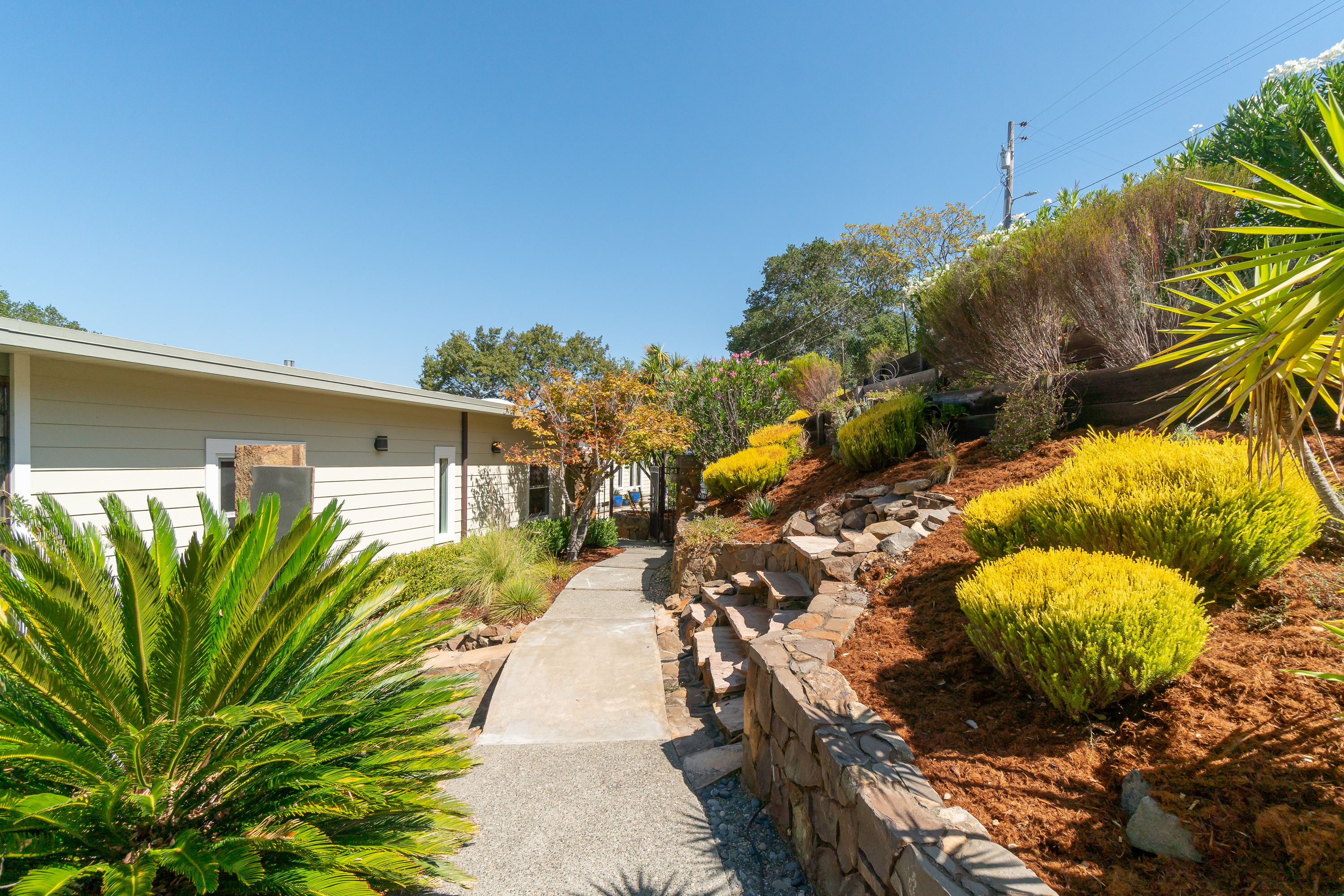 MARIN COUNTRY CLUB – image 3