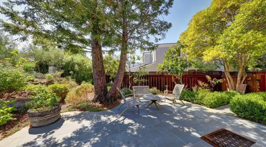 59 Meadowood Dr, Larkspur, California 94939, United States, 4 Bedrooms Bedrooms, ,2.5 BathroomsBathrooms,Residential,For Sale,59 Meadowood Dr,1147592