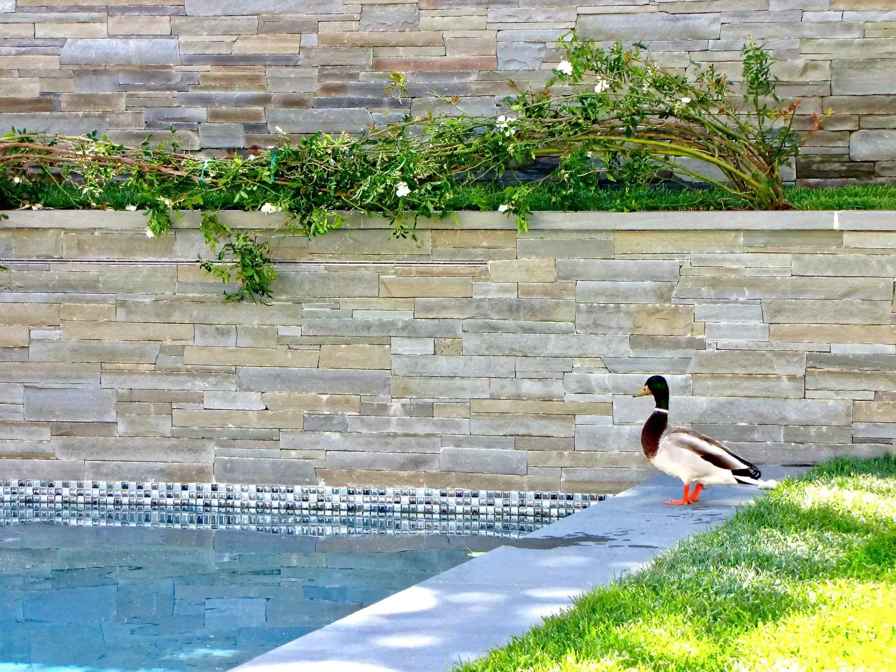 250 Garden Dr, Lake Sherwood – image 21