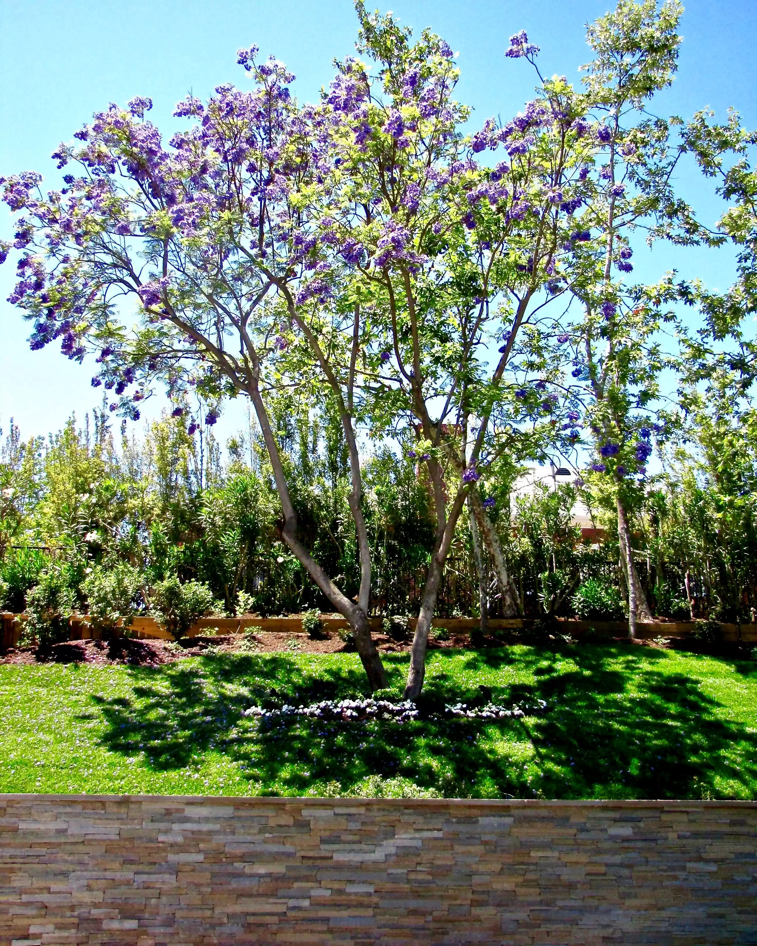 250 Garden Dr, Lake Sherwood – image 24