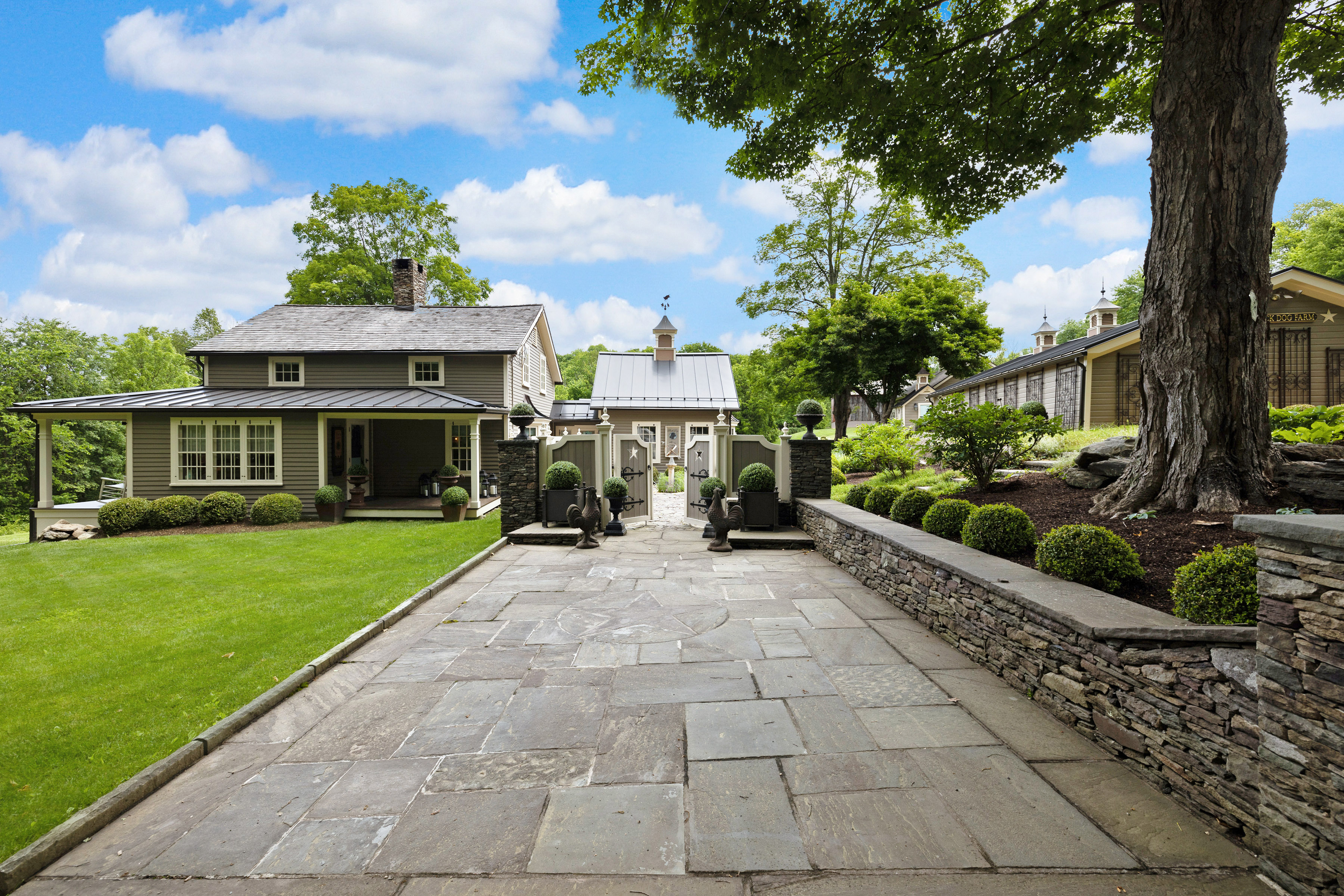 Black Dog Farm – image 1