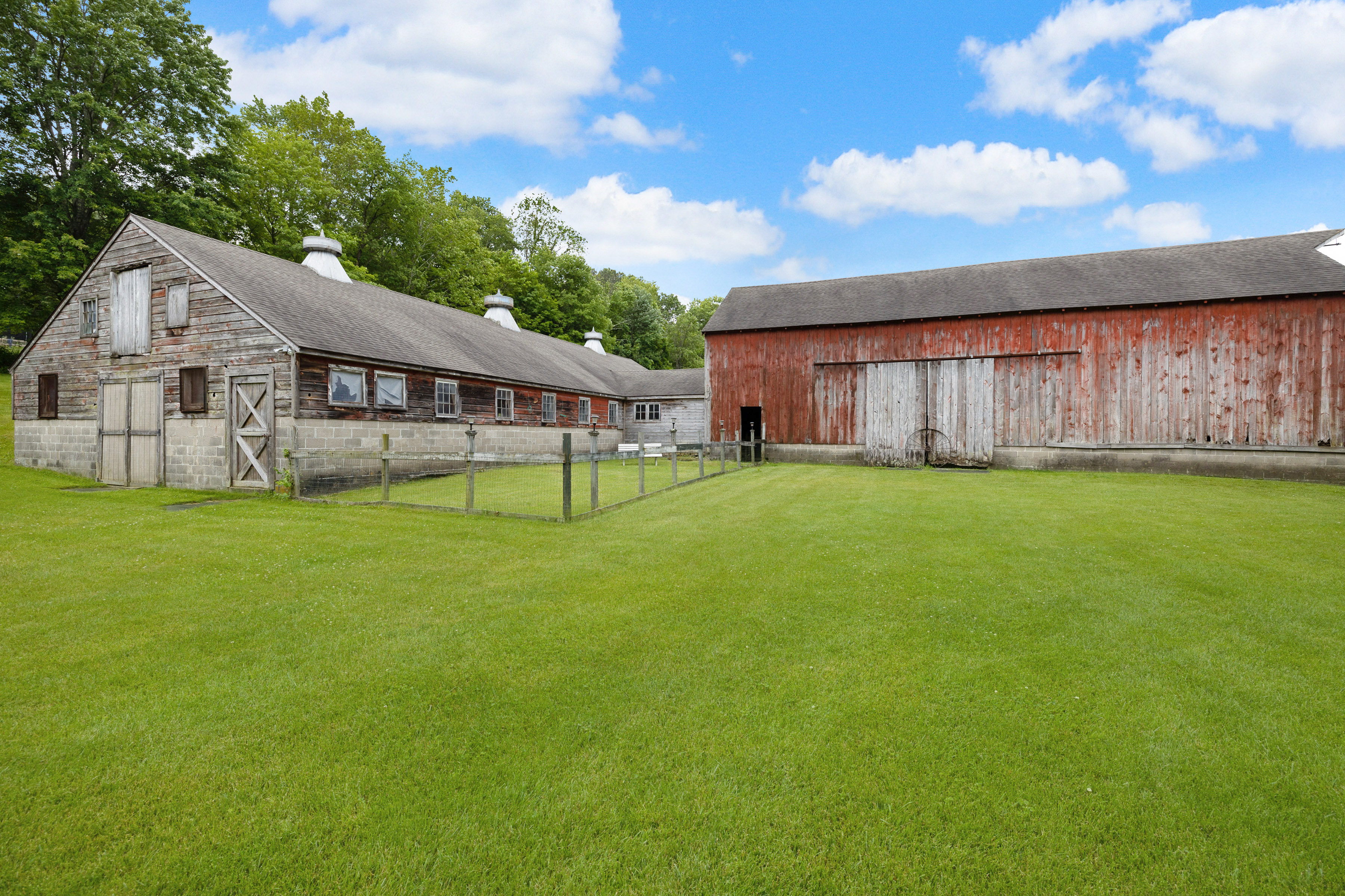 Black Dog Farm – image 45