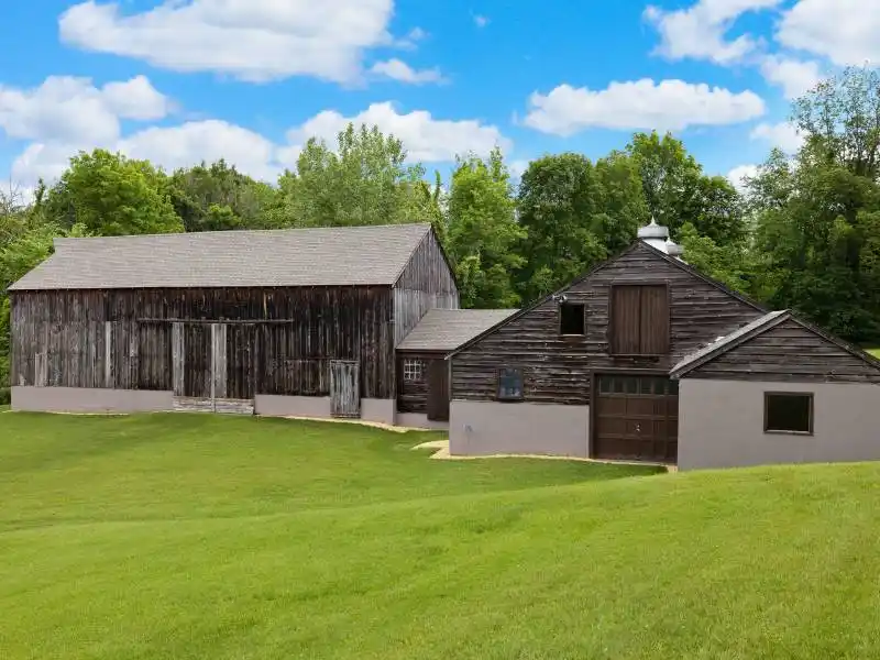 Black Dog Farm – image 44
