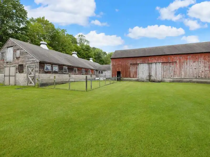 Black Dog Farm – image 45