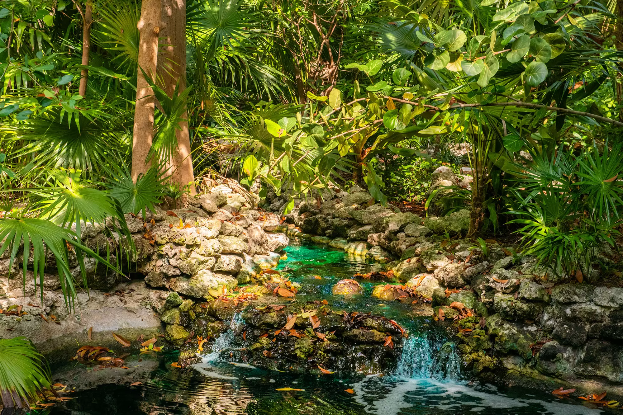 Five-Acre Oceanfront Estate – image 45