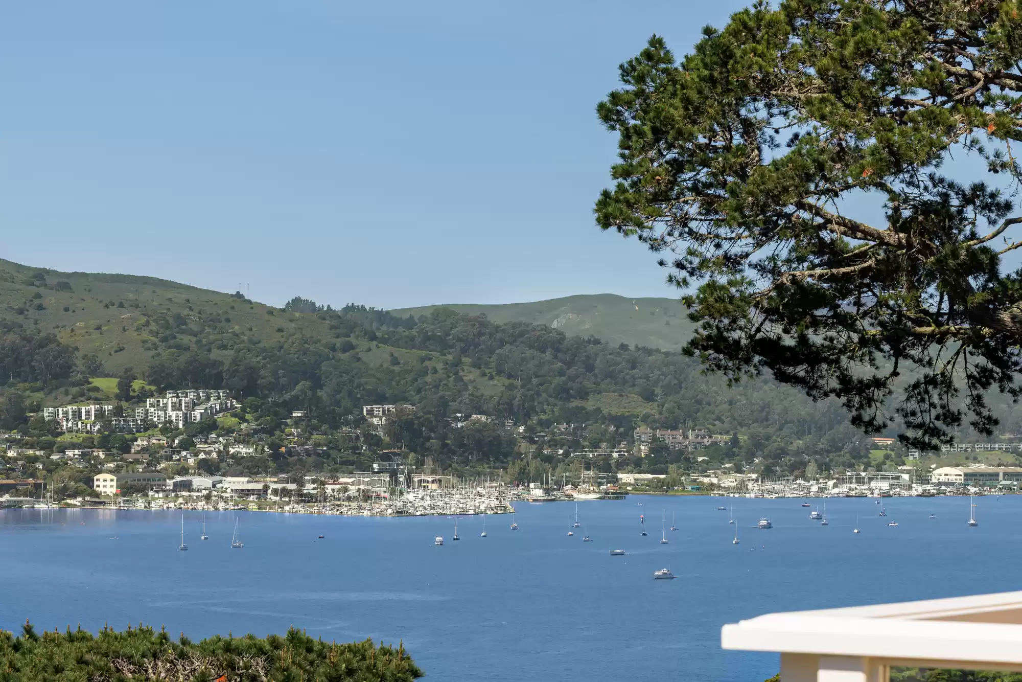 World Class Views – image 28