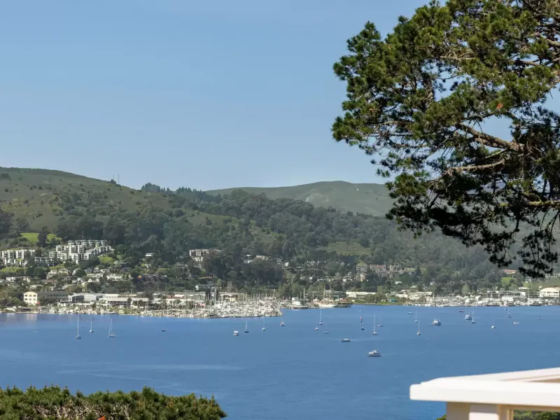 World Class Views – image 28