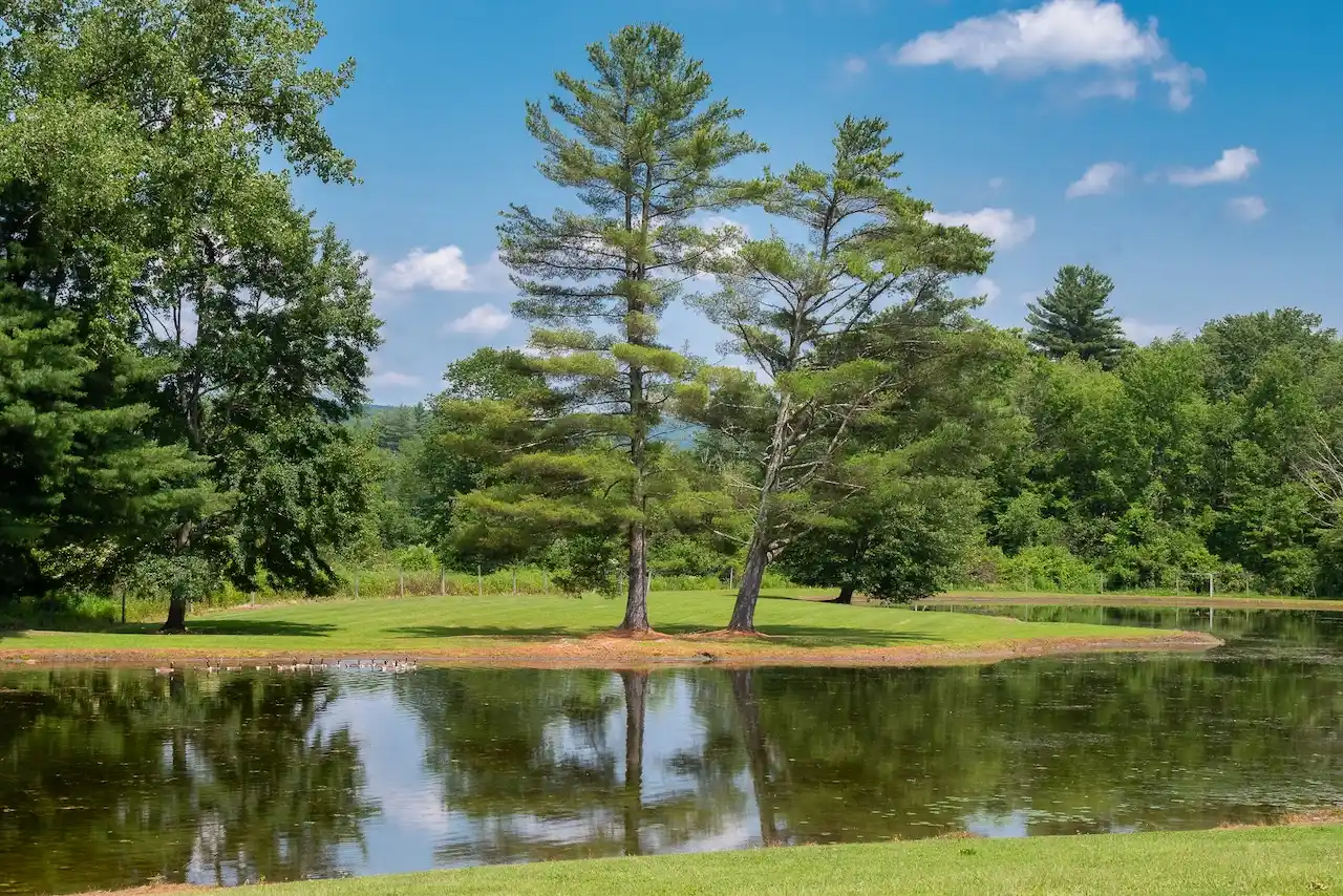 Incredible Historic Compound Estate On 67± Park Like Acres – image 71
