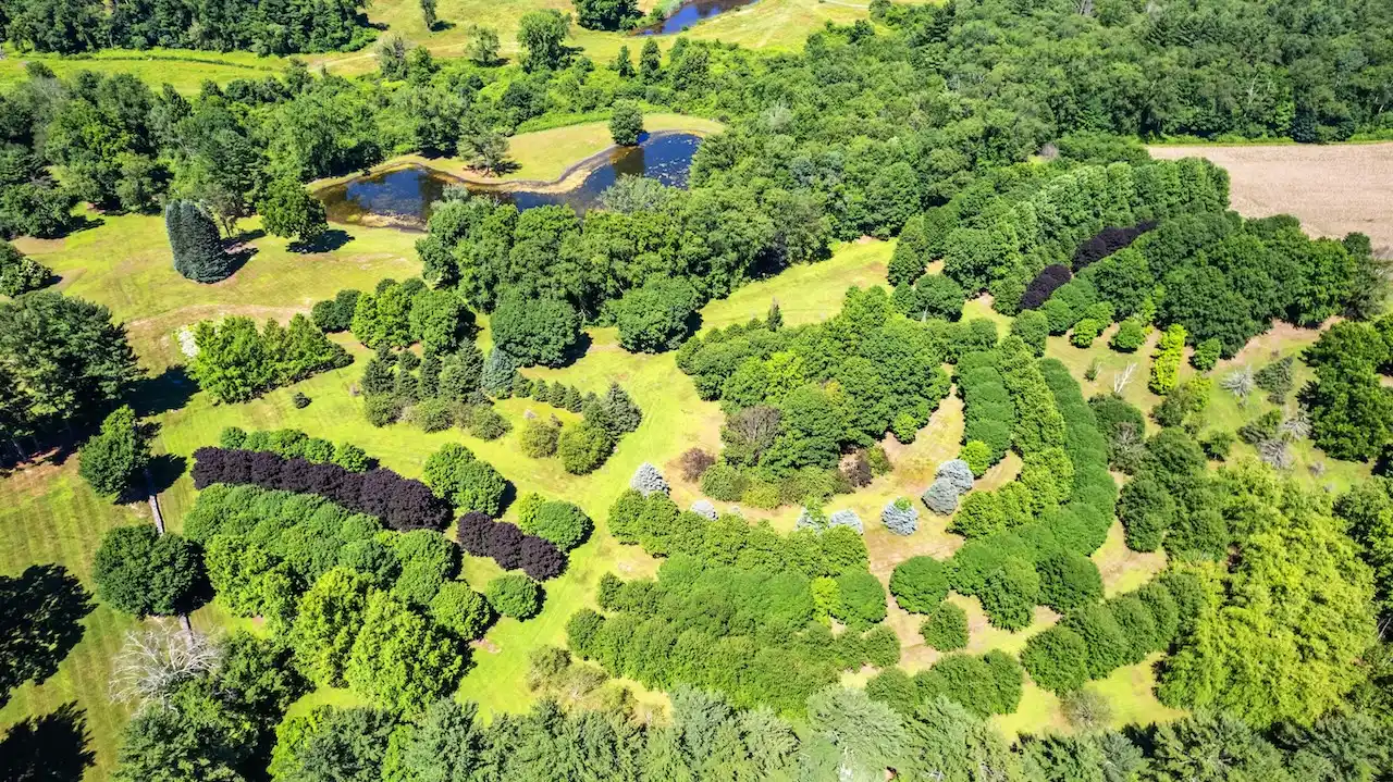 Incredible Historic Compound Estate On 67± Park Like Acres – image 10