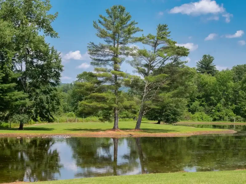 Incredible Historic Compound Estate On 67± Park Like Acres – image 71