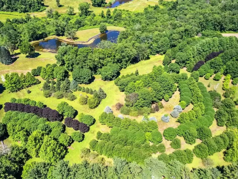 Incredible Historic Compound Estate On 67± Park Like Acres – image 10