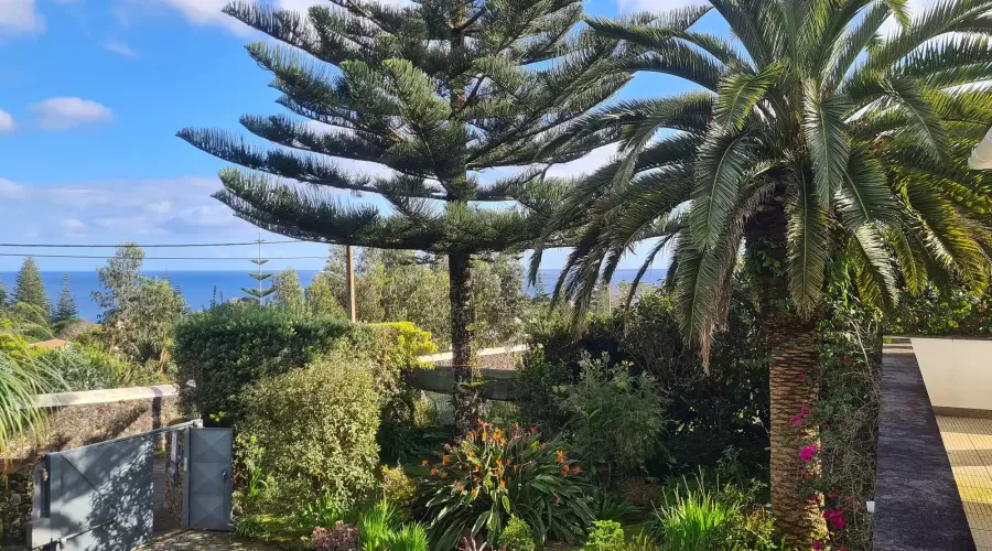 Agua de Pau, Portugal, 5 Bedrooms Bedrooms, ,4 BathroomsBathrooms,Residential,For Sale,1537611