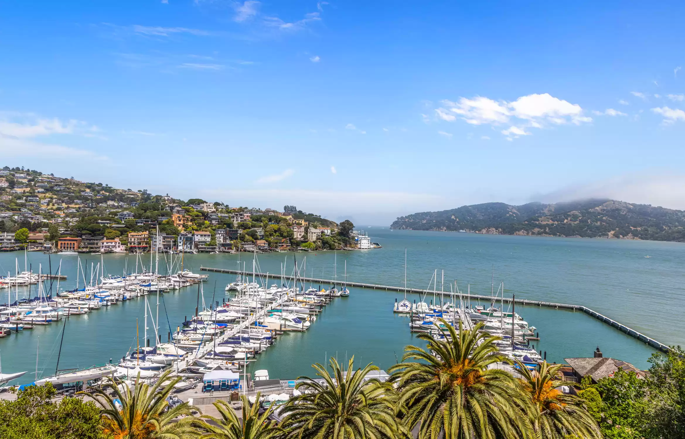 BELVEDERE BEAUTY – image 24