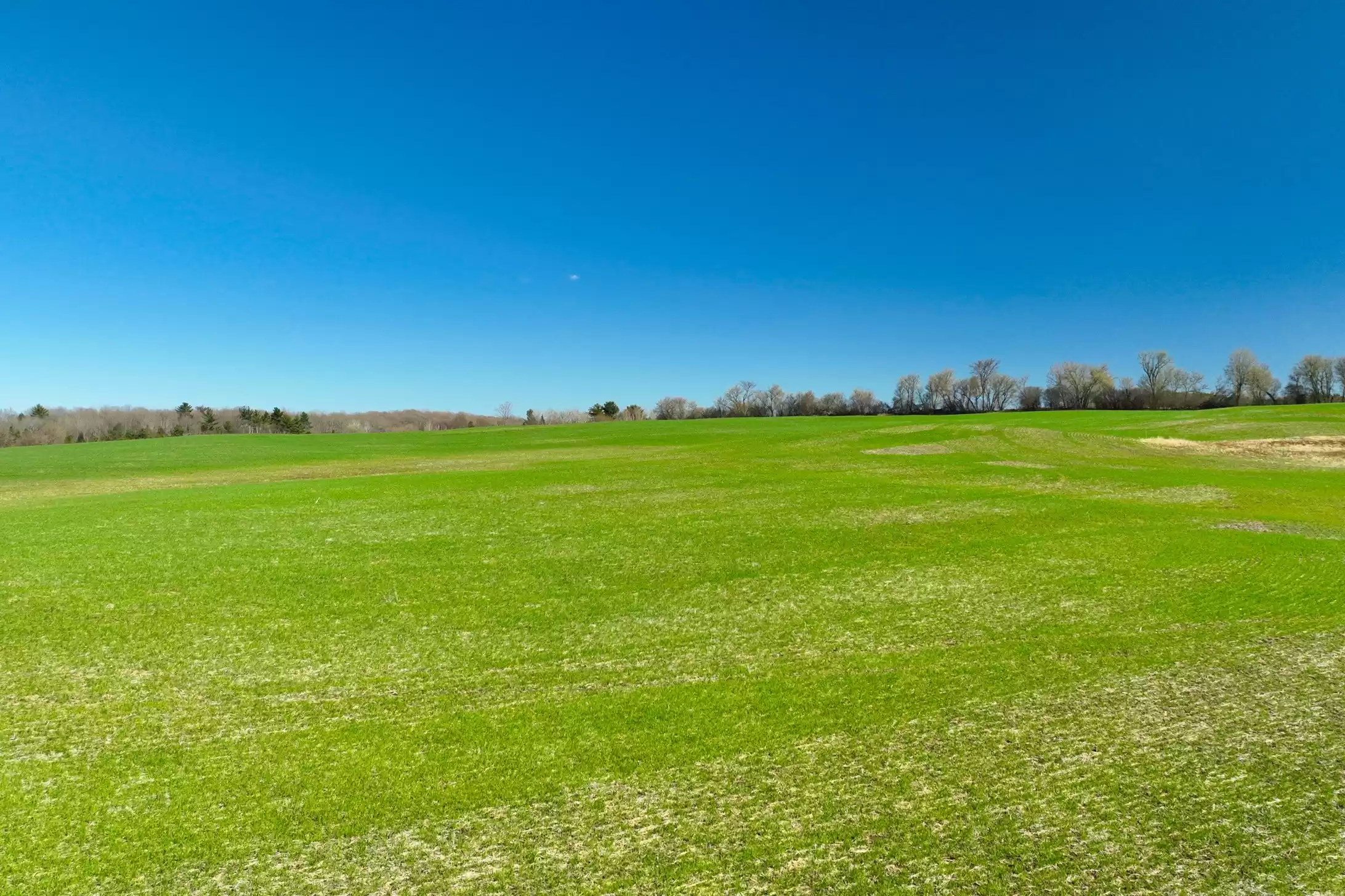 7489 Concession Road 2 & 7650 Third Concession – image 14