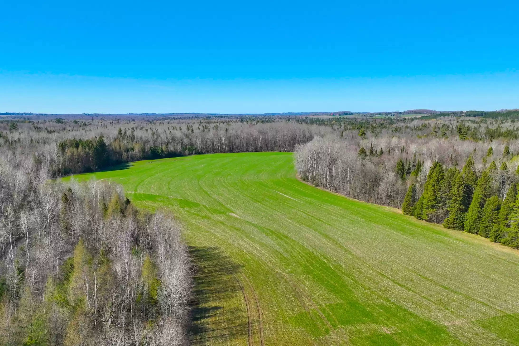 7489 Concession Road 2 & 7650 Third Concession – image 18