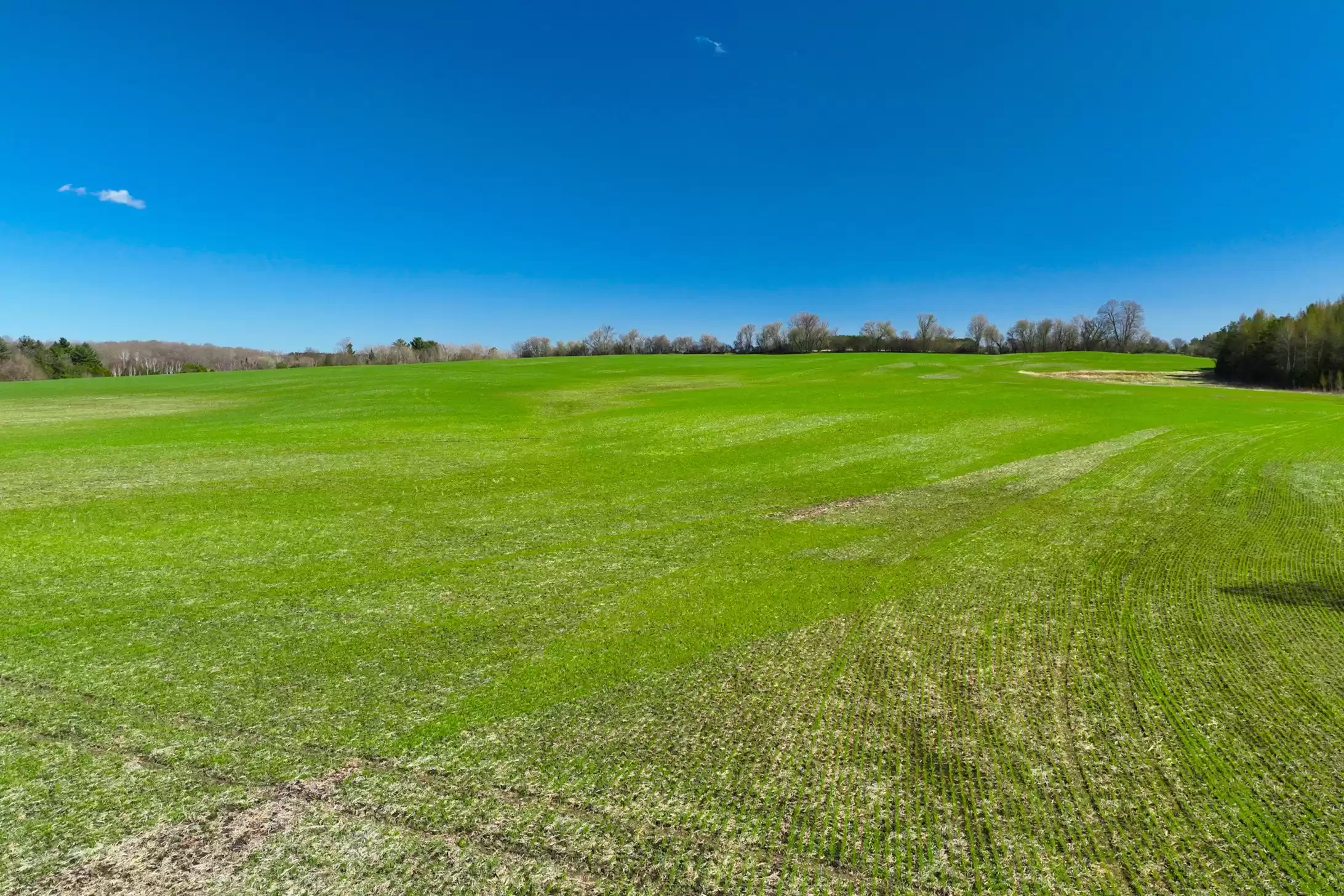 7489 Concession Road 2 & 7650 Third Concession – image 24