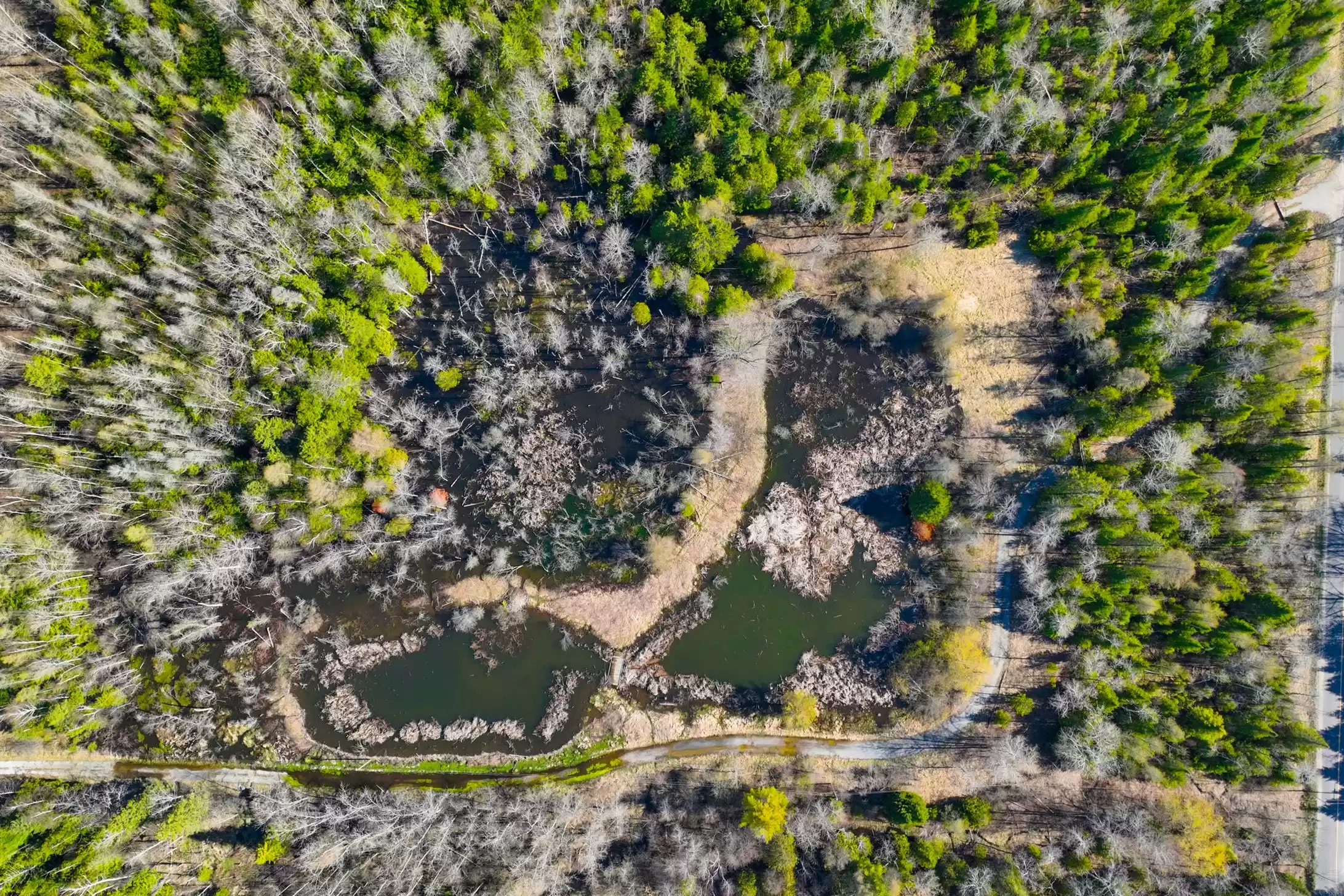 7489 Concession Road 2 & 7650 Third Concession – image 34