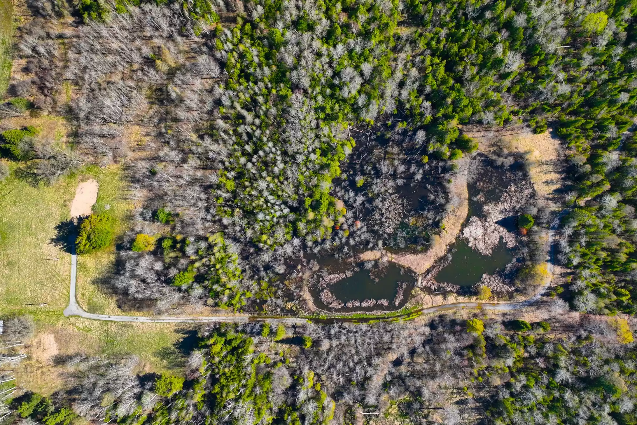 7489 Concession Road 2 & 7650 Third Concession – image 35