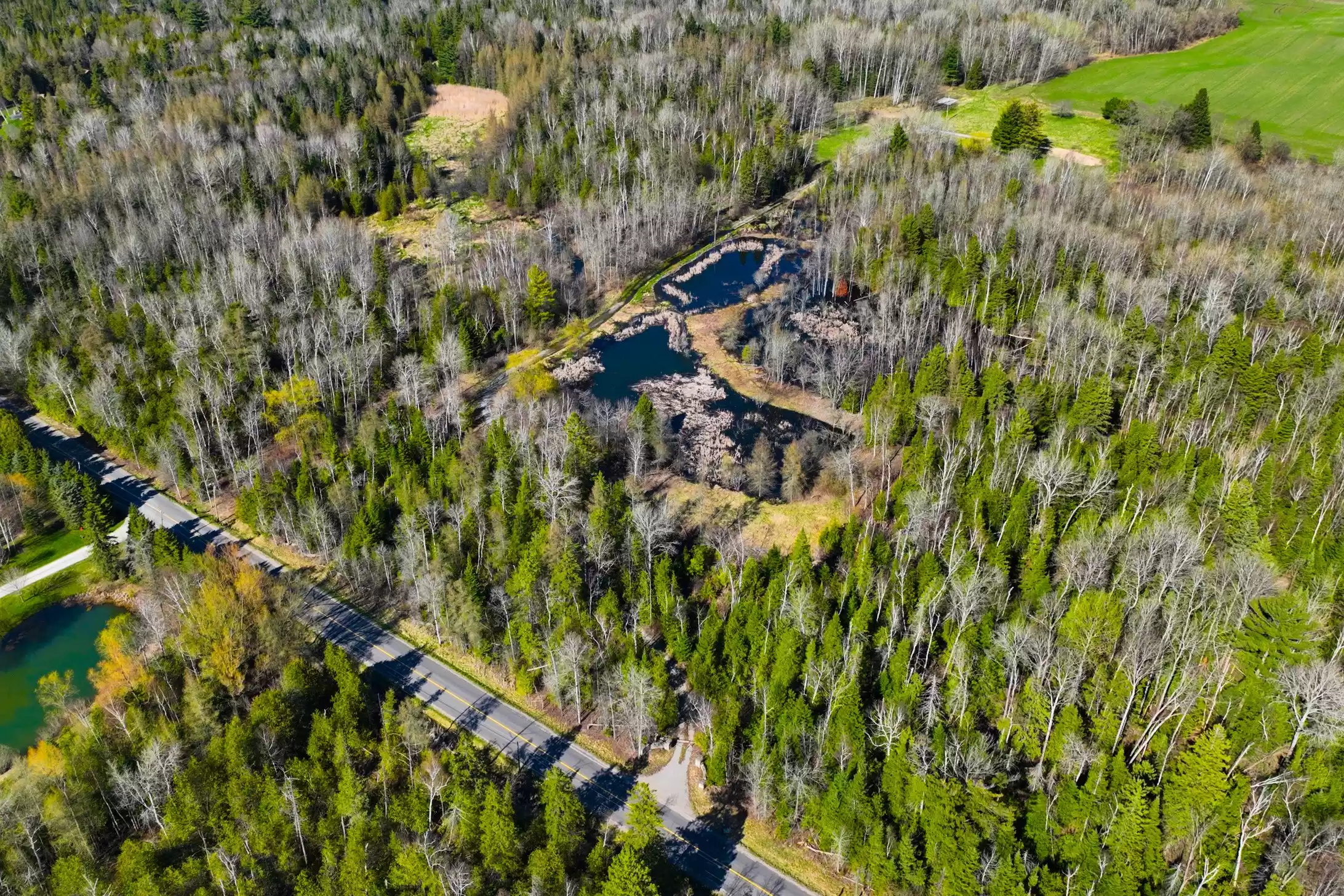 7489 Concession Road 2 & 7650 Third Concession – image 36