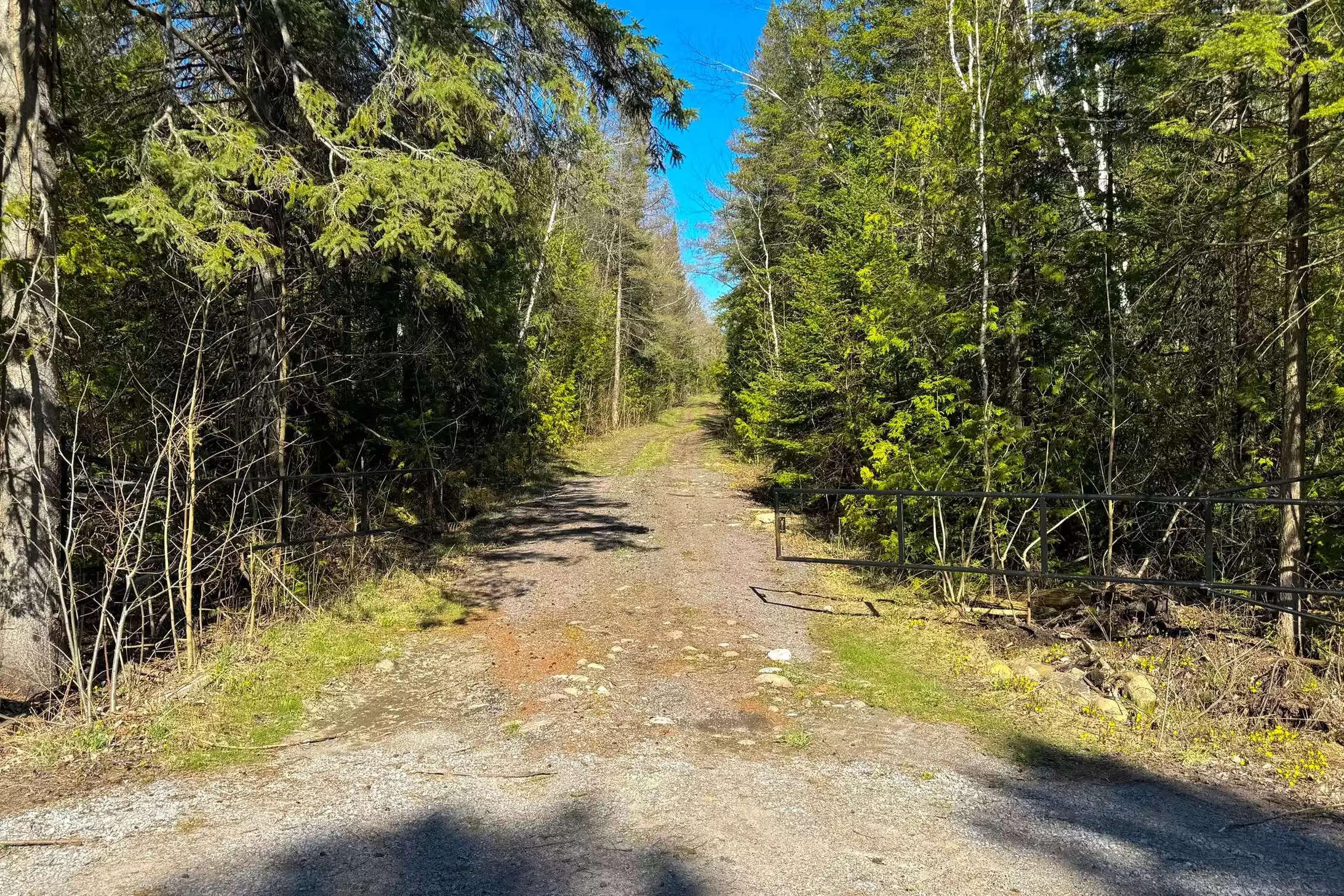 7489 Concession Road 2 & 7650 Third Concession – image 7