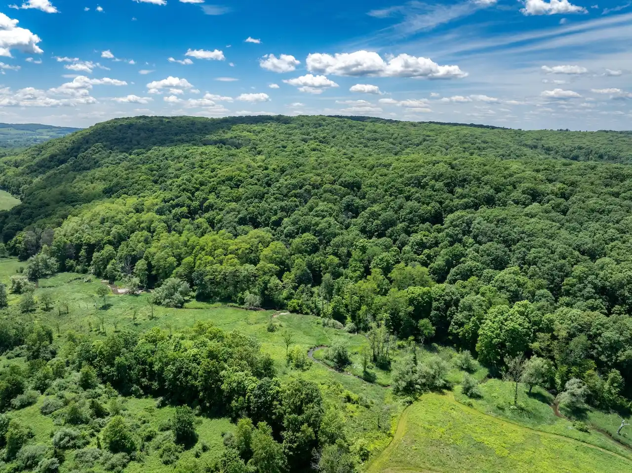 Shekomeko Valley: 150-acre Hudson Valley Estate Land – image 6