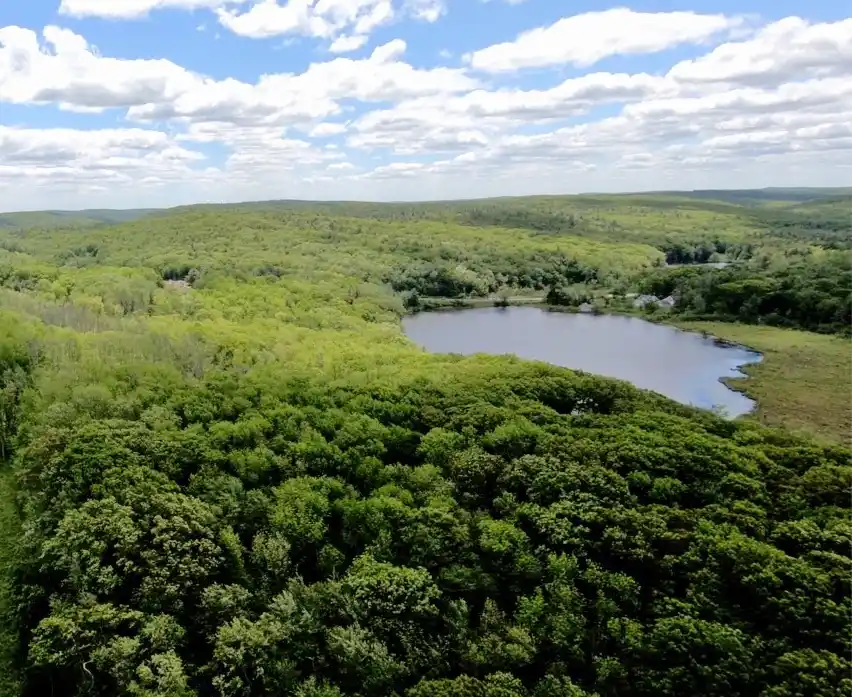 Pond Ridge – image 1