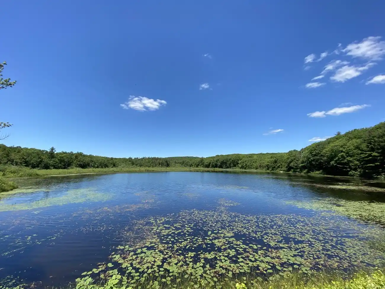 Pond Ridge – image 2