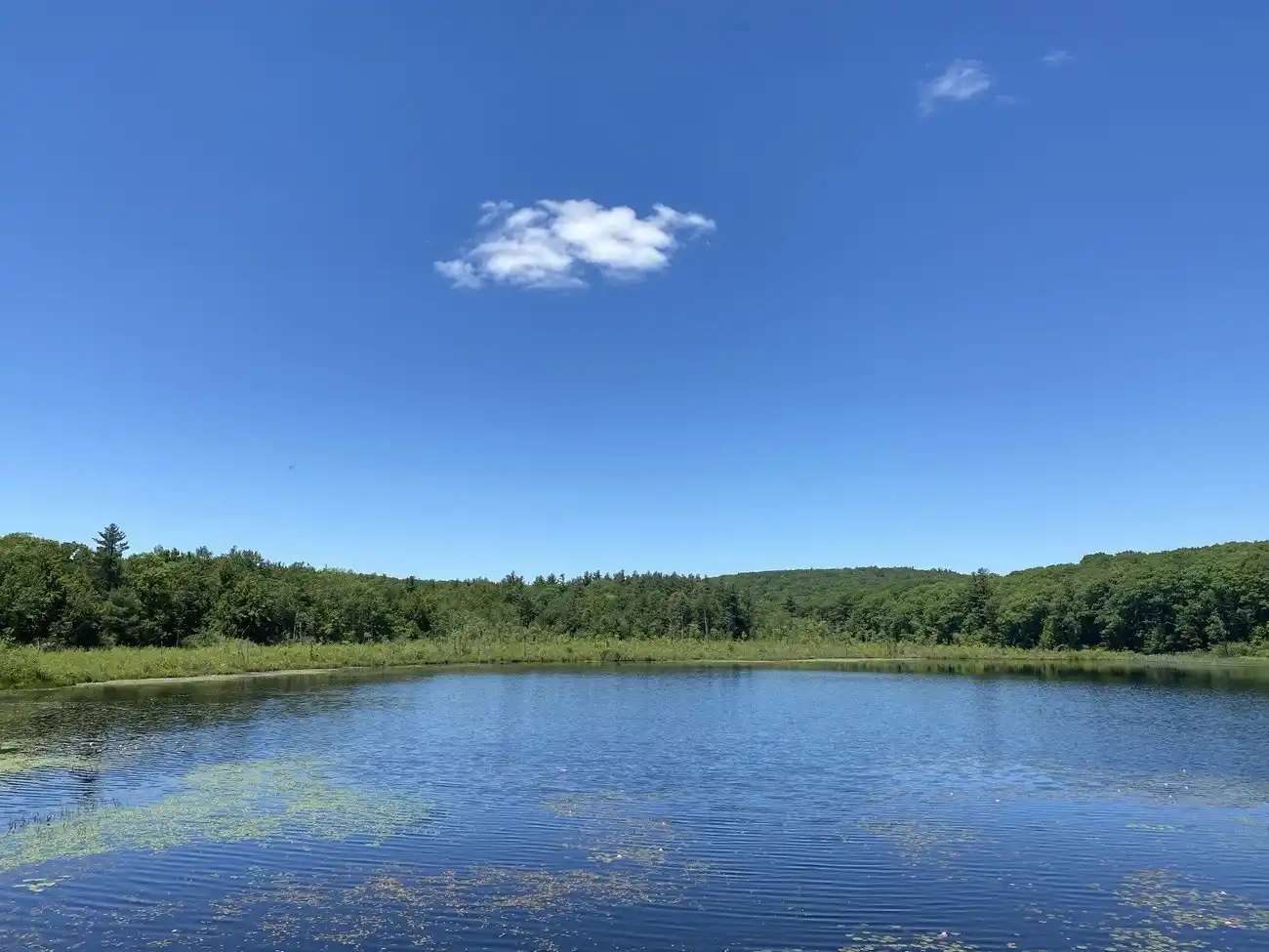 Pond Ridge – image 3