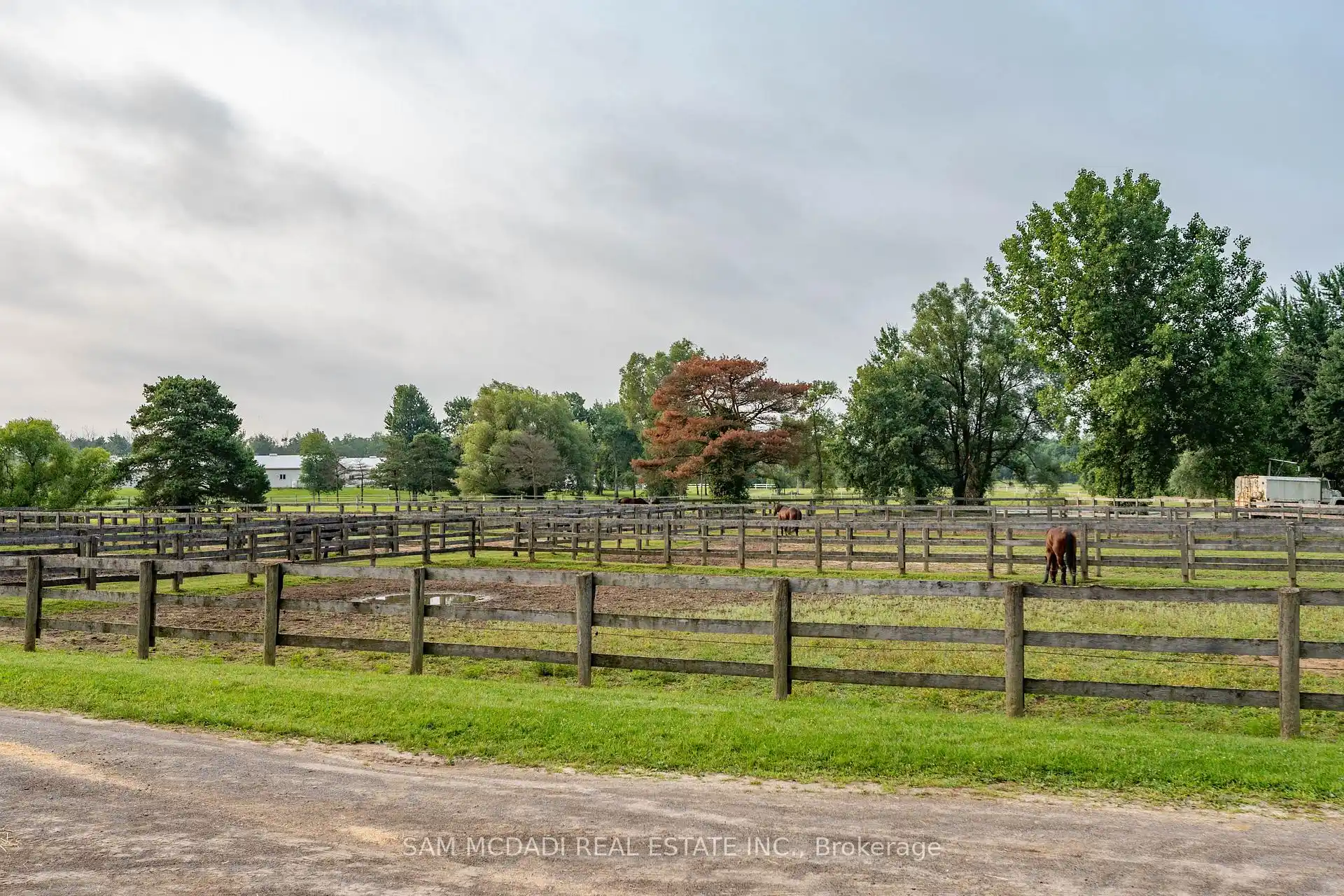 1046 Concession 6 Road W, Hamilton (X12813514) – image 35