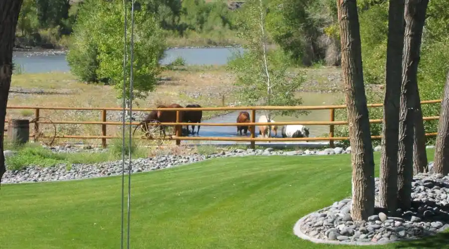 3350 Northfork Hwy,CODY,Wyoming 82414,United States,5 Bedrooms Bedrooms,6 BathroomsBathrooms,Ranch,Northfork Hwy,171219