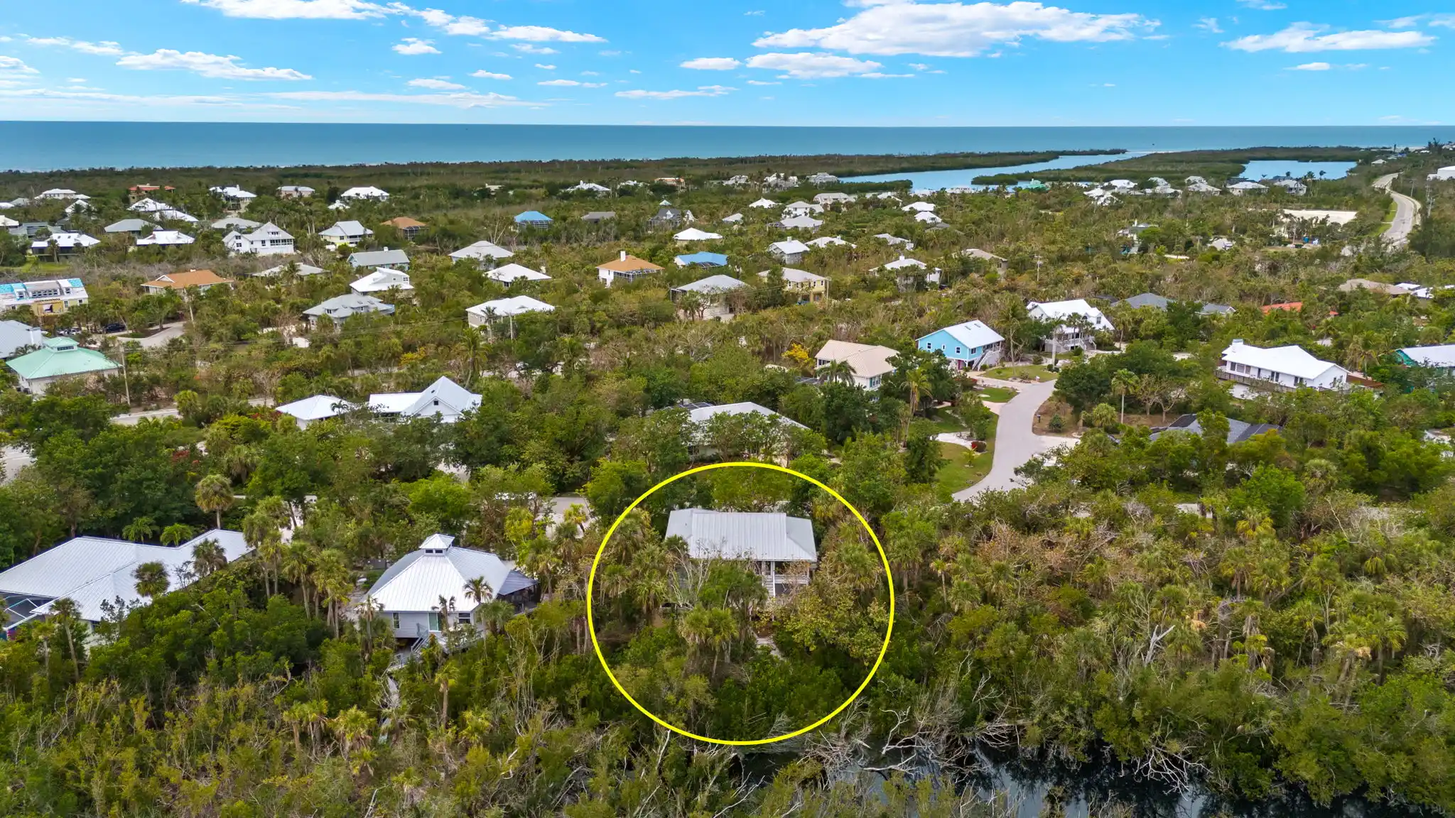 SANIBEL BAYOUS BEAUTY – image 4