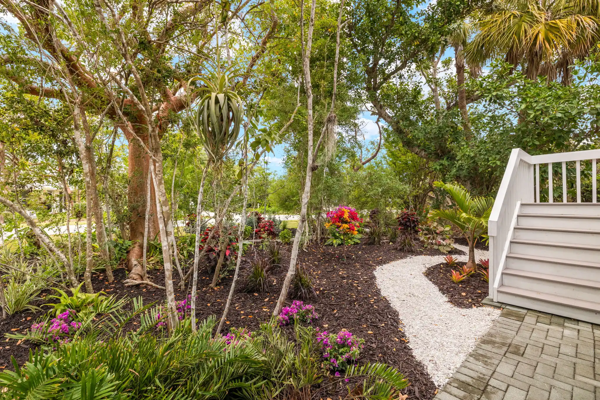 SANIBEL BAYOUS BEAUTY – image 3