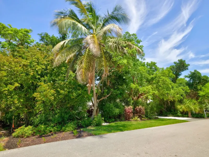SANIBEL BAYOUS BEAUTY – image 2