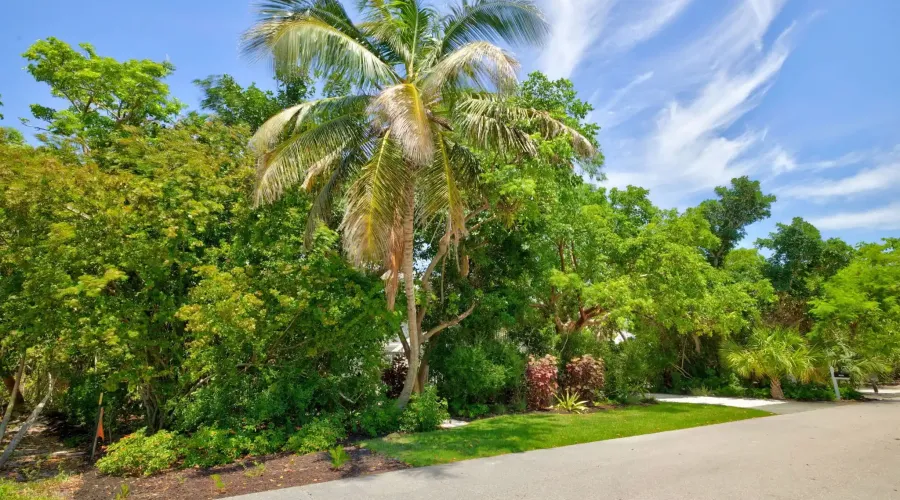1986 Wild Lime Drive, Sanibel, Florida, 33924, United States, 3 Bedrooms Bedrooms, 9 Rooms Rooms,2 BathroomsBathrooms,Single family home,For Sale,Wild Lime,1753985