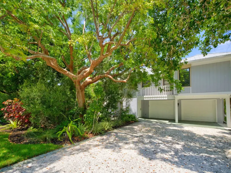 SANIBEL BAYOUS BEAUTY – image 3