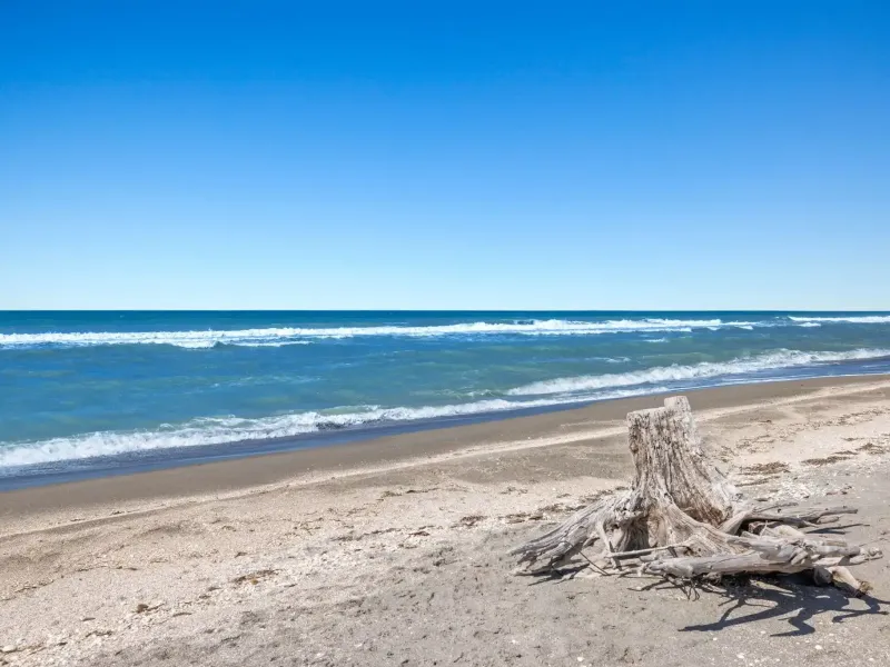 SANIBEL BAYOUS BEAUTY – image 39