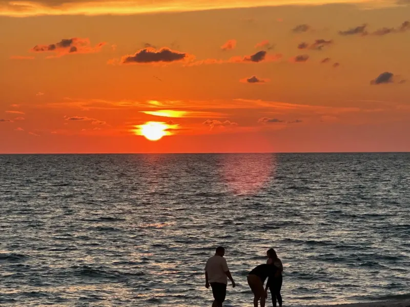 SANIBEL BAYOUS BEAUTY – image 40