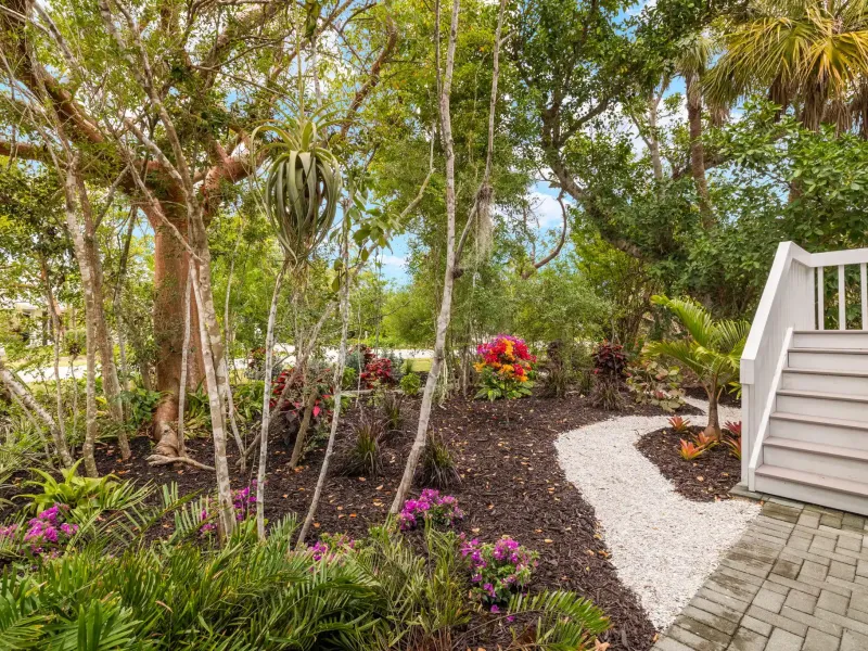SANIBEL BAYOUS BEAUTY – image 5