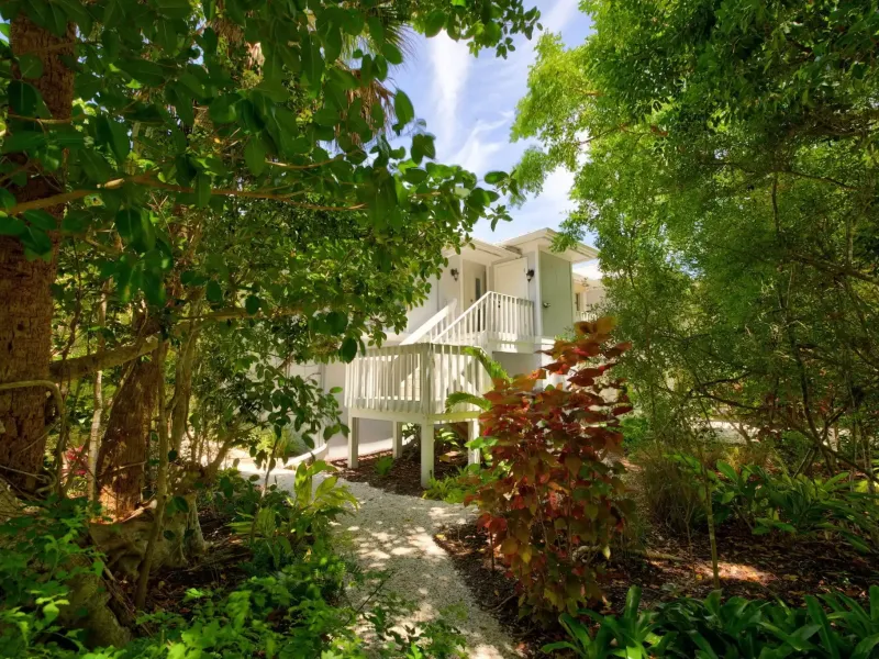 SANIBEL BAYOUS BEAUTY – image 6