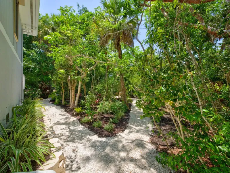 SANIBEL BAYOUS BEAUTY – image 8