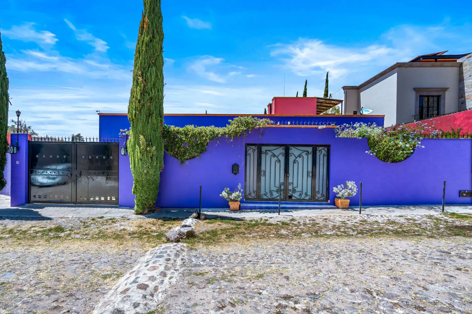 Casa Purple Rain – image 3