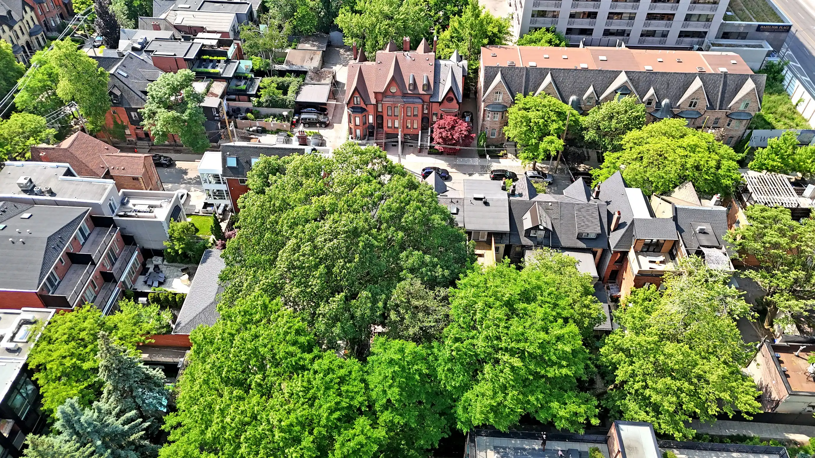 10 Webster Ave – image 51
